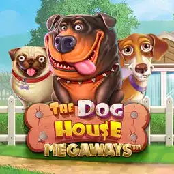 The Dog House Megaways game at Jet4Bet Casino for Australia players The Dog House Megaways game at Jet4Bet Casino for Australia players