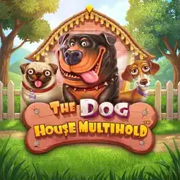 The Dog House Multihold game at Jet4Bet Casino for Australia players The Dog House Multihold game at Jet4Bet Casino for Australia players